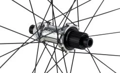 Newmen Evolution SL E.G.30 29" Boost Shimano MicroSpline Laufradsatz -Fahrrad Angebote Newmen Evolution SL E G 30 90742 3