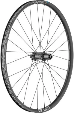 Dt-swiss H 1900 Spline® 29" 30mm 6-Loch Boost Hinterrad -Fahrrad Angebote PHO W0H1900TFDSSA18347 WEB SHO 001