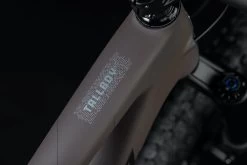 Santa Cruz Tallboy 5 C S -Fahrrad Angebote Santa Cruz 192219250113 20123431 Tallboy 5 C S 4iB1G55TtrjFPE